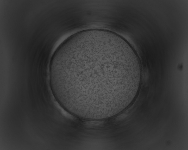 X0000091861294200710031032