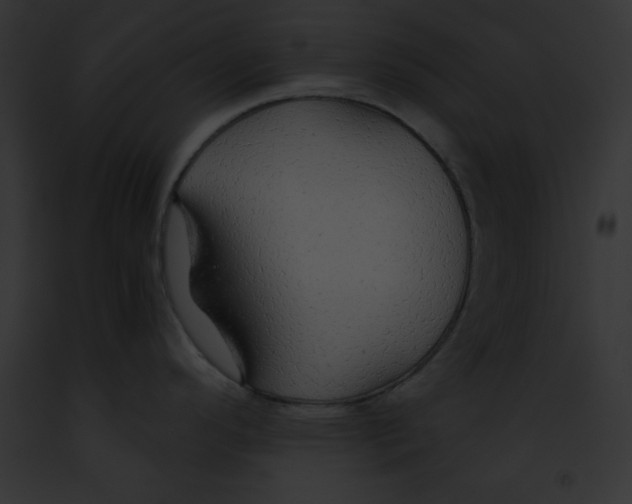 X0000091861296200710031032