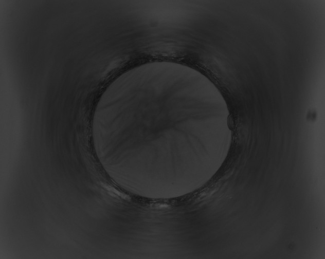 X0000091861297200710031032