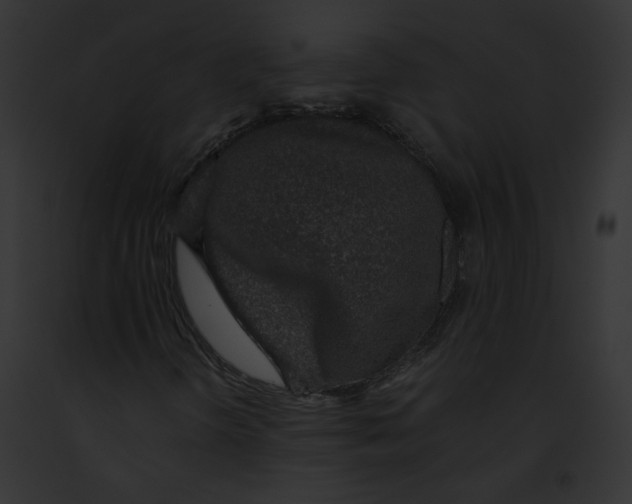 X0000091861298200710031032