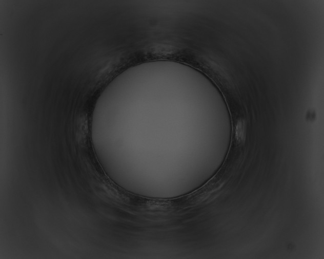 X0000091861299200710031032