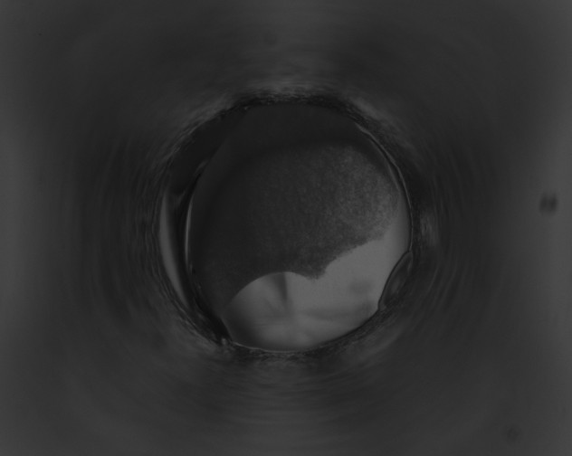 X0000091861300200710031032