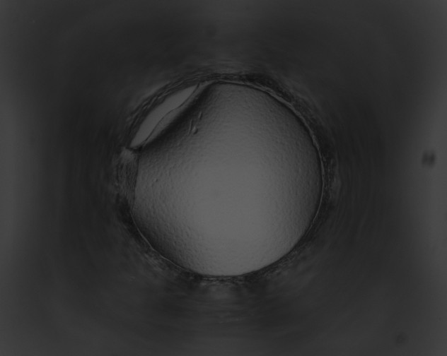 X0000091861301200710031032