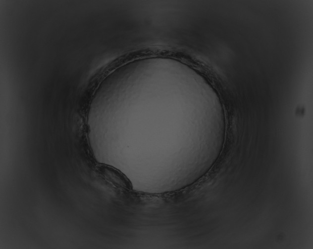 X0000091861302200710031032