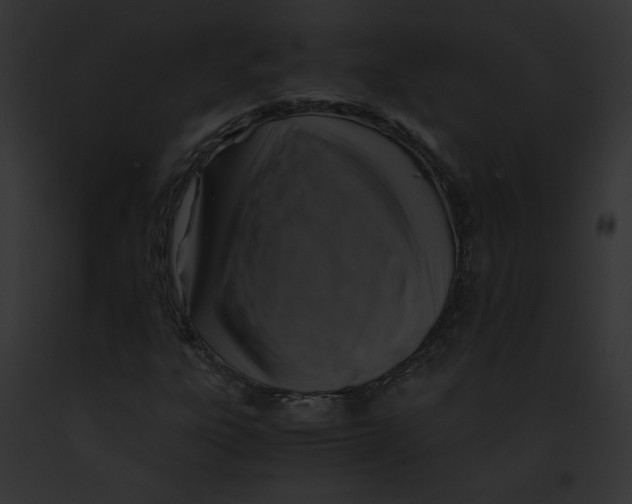 X0000091861303200710031032