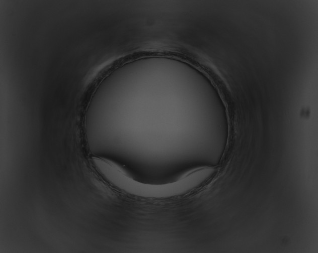 X0000091861304200710031032