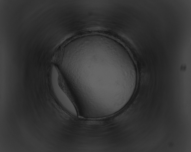 X0000091861305200710031032