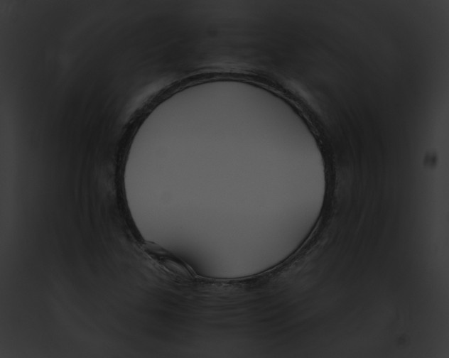 X0000091861307200710031032