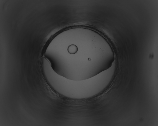 X0000091861308200710031032