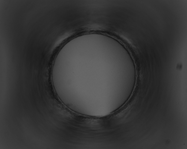 X0000091861309200710031032