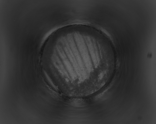 X0000091861310200710031032