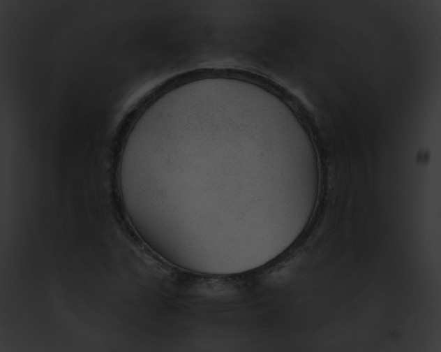 X0000091861311200710031032