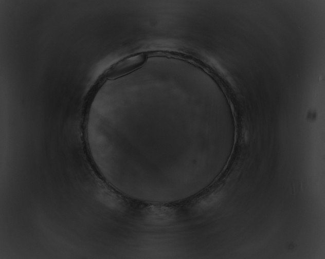 X0000091861312200710031032