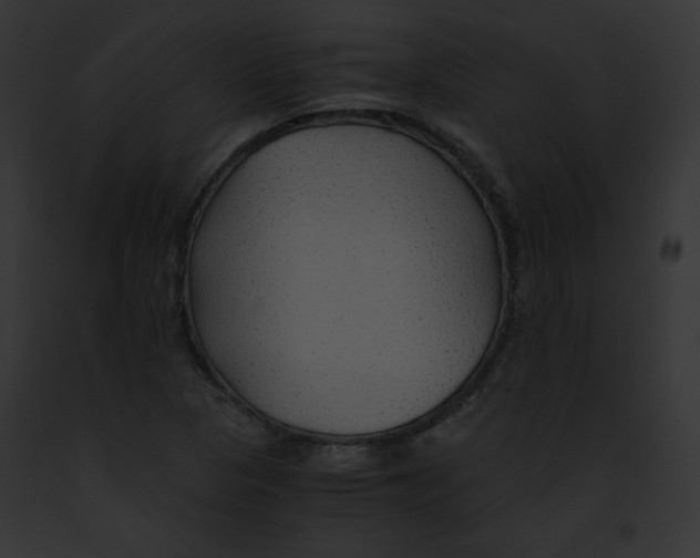 X0000091861313200710031032