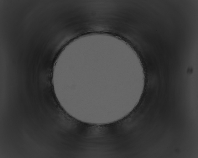 X0000091861314200710031032