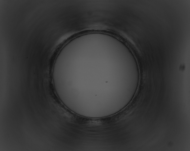 X0000091861315200710031032