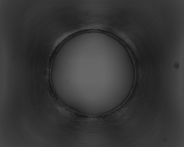 X0000091861316200710031032