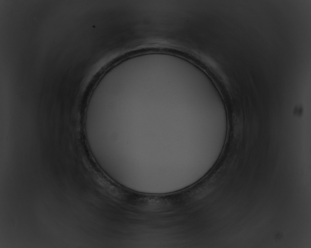 X0000091861318200710031032