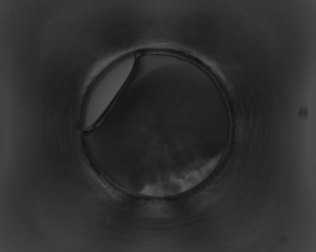 X0000091861319200710031032