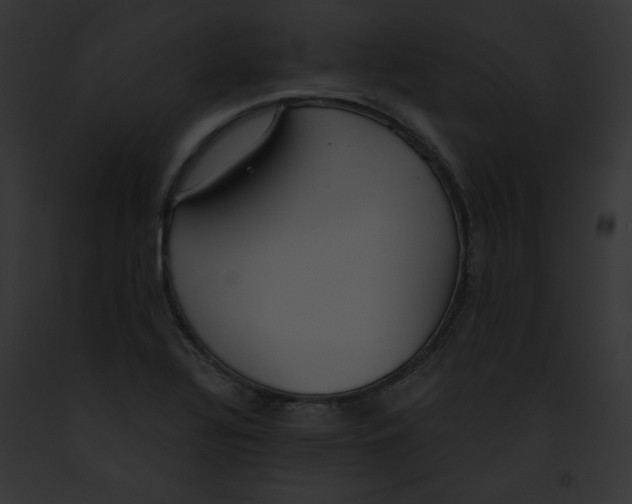 X0000091861320200710031032