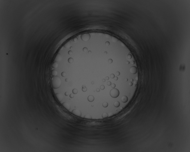 X0000091861321200710031032