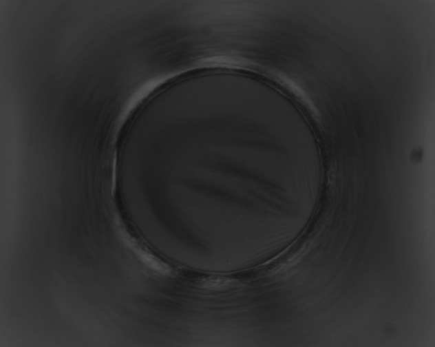 X0000091861323200710031032