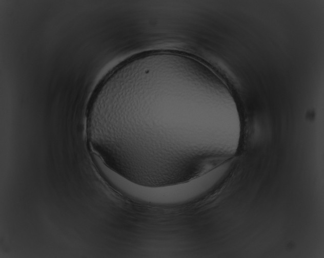 X0000091861324200710031032