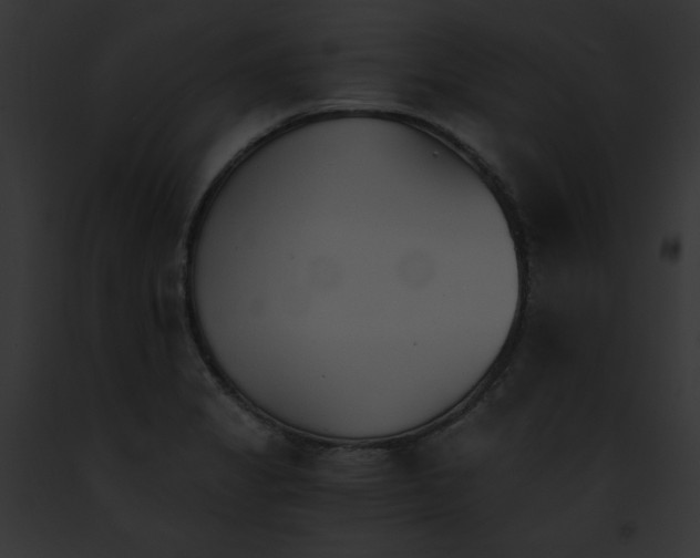 X0000091861325200710031032