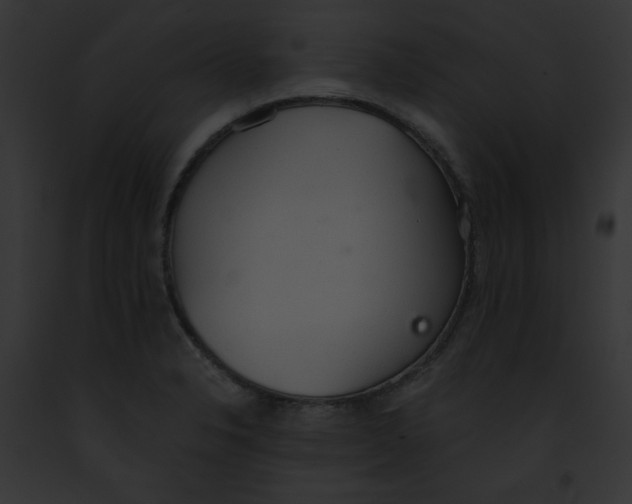 X0000091861326200710031032