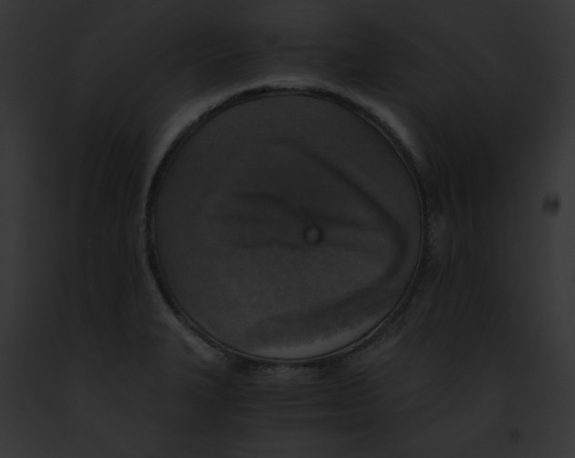 X0000091861327200710031032