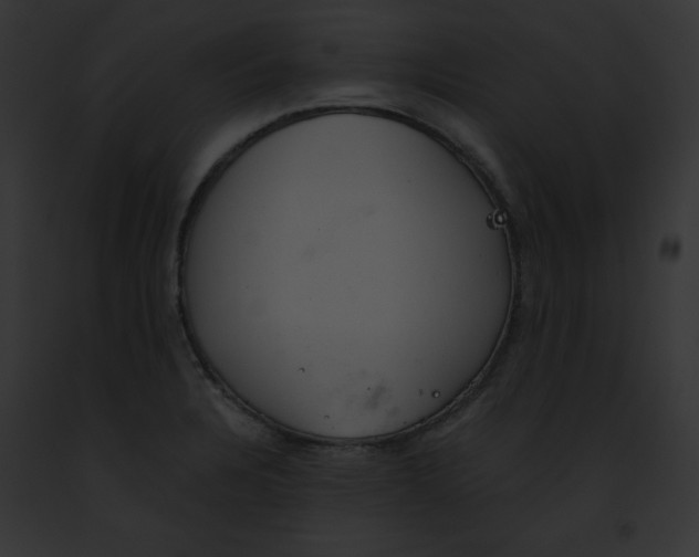 X0000091861328200710031032