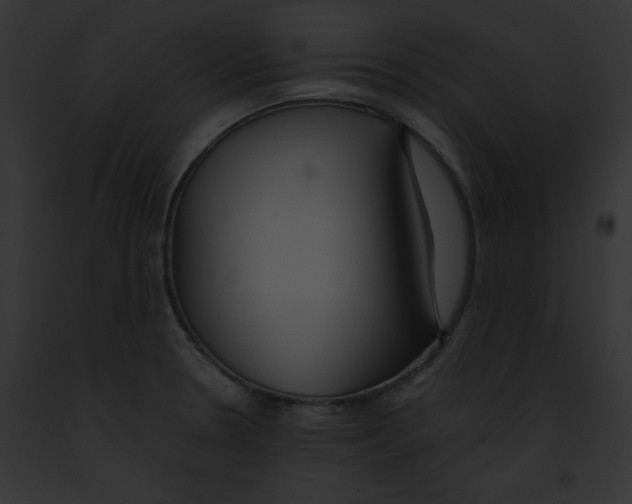 X0000091861330200710031032