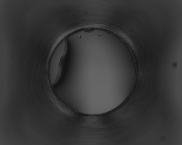 X0000091861332200710031032