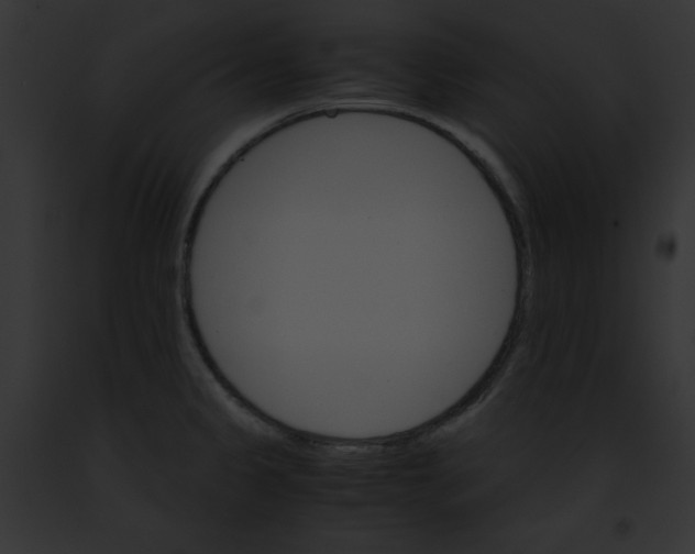 X0000091861333200710031032