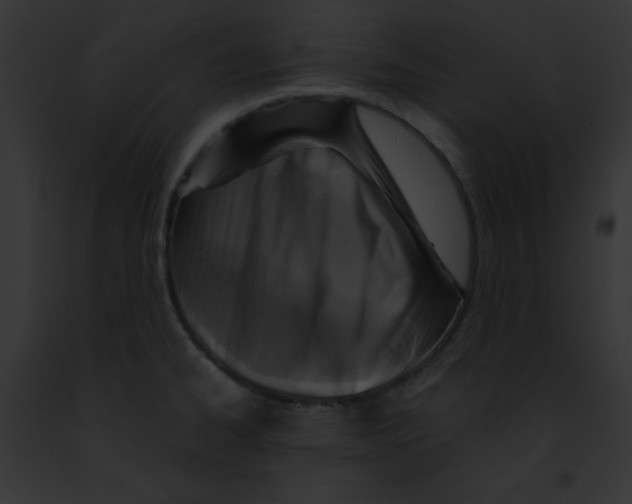 X0000091861334200710031032