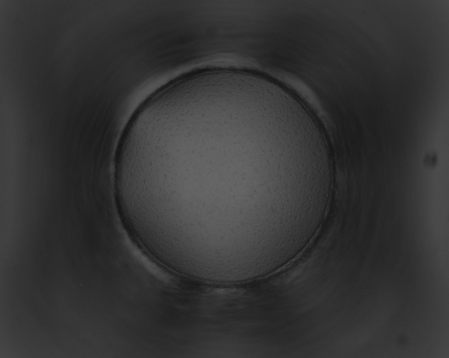 X0000091861335200710031032