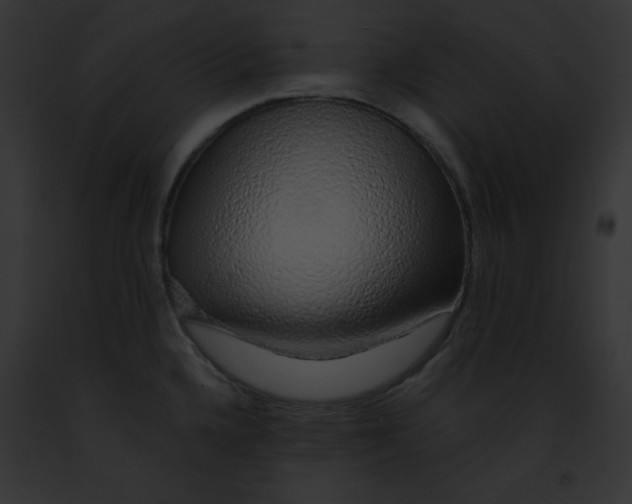 X0000091861336200710031032