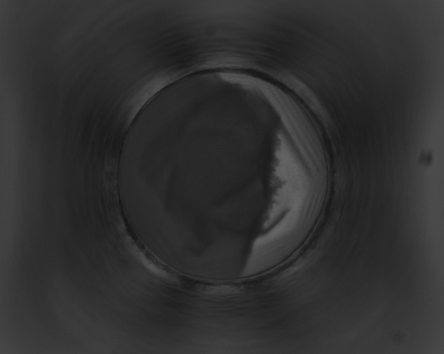 X0000091861337200710031032