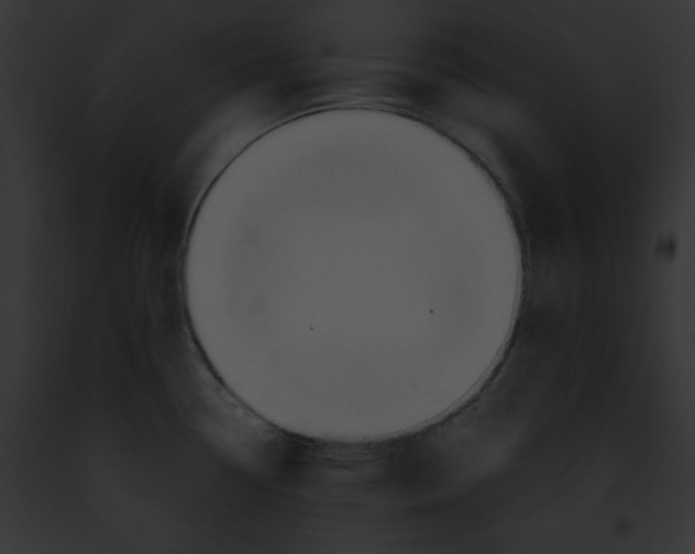 X0000091861338200710031032