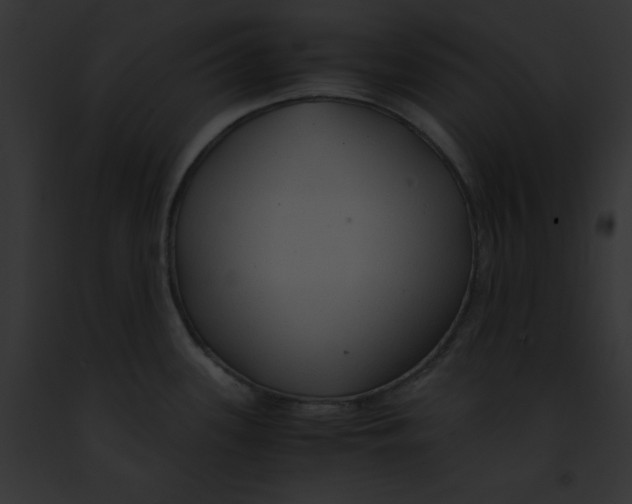 X0000091861339200710031032