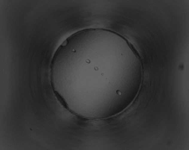 X0000091861340200710031032