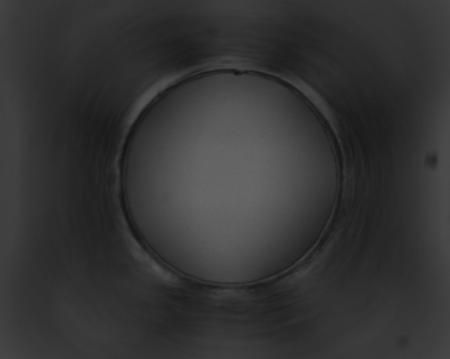 X0000091861341200710031032