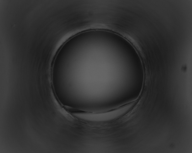 X0000091861342200710031032