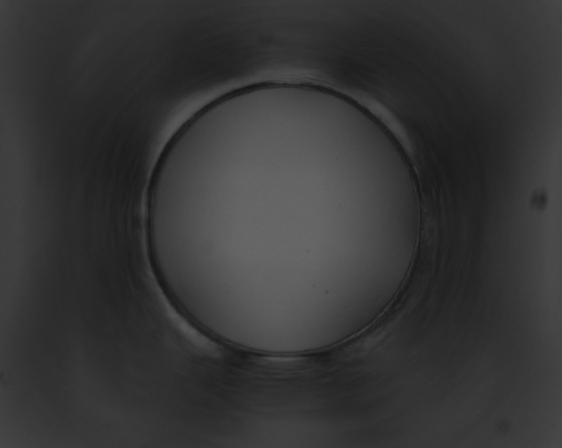 X0000091861343200710031032