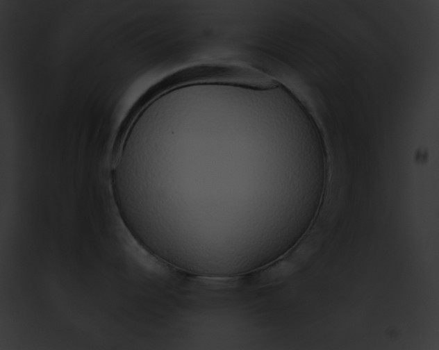 X0000091861344200710031032