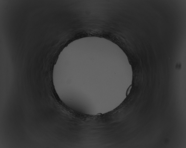 X0000091861345200710031032