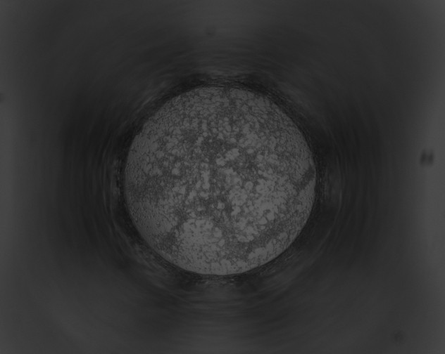 X0000091861346200710031032