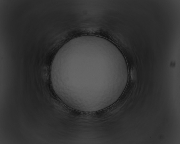 X0000091861347200710031032