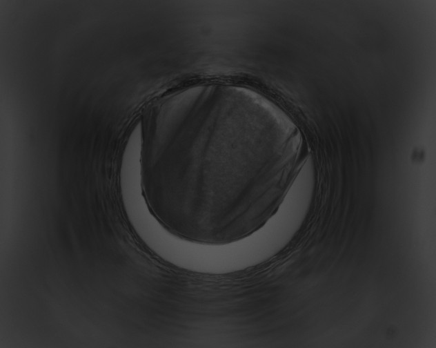 X0000091861348200710031032