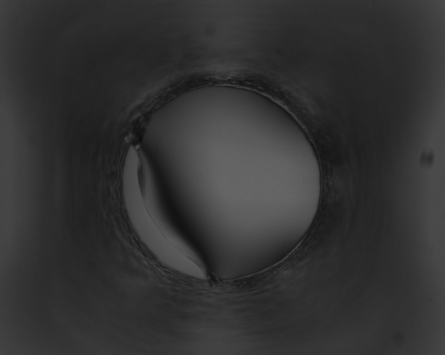 X0000091861349200710031032